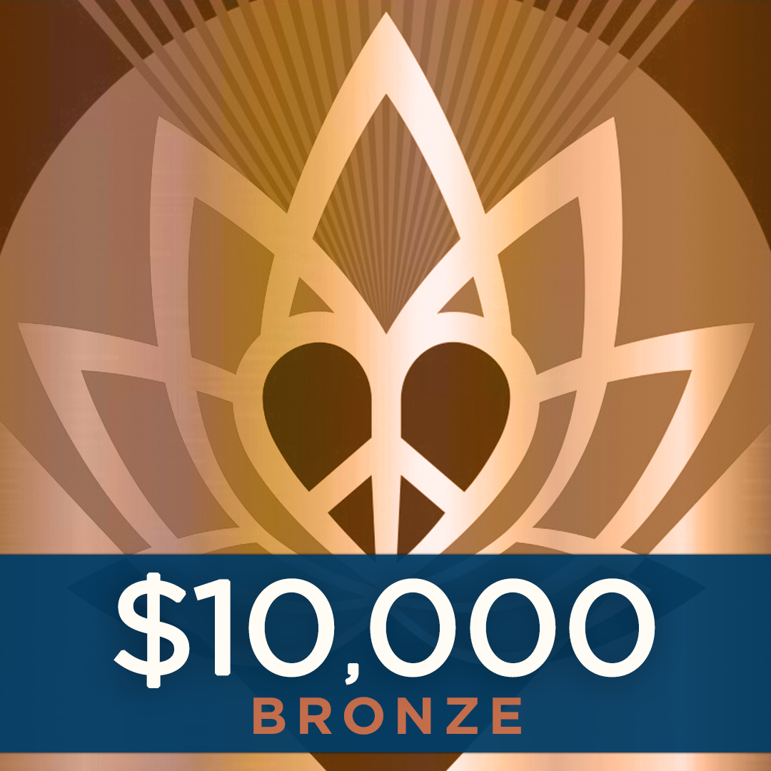 Bronze Sponsor