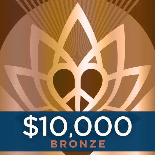 Bronze Sponsor